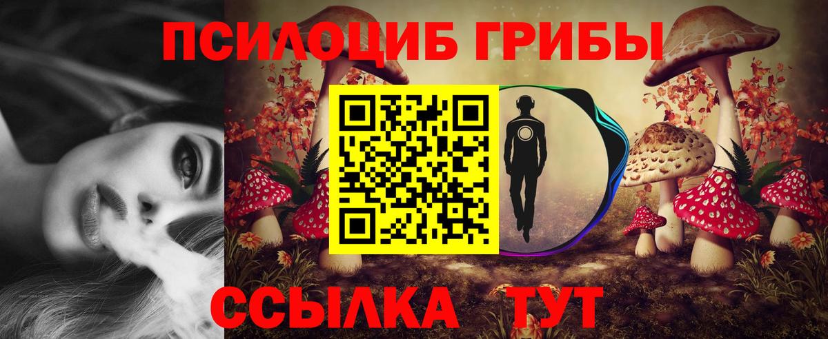 Галлюциногенные грибы мицелий Касимов